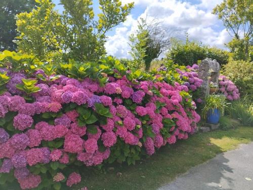 Plouhinec Casa | gite proche de la ria d'ETEL