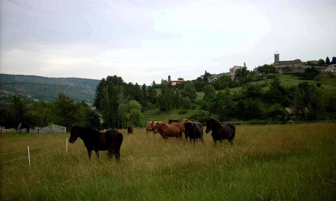 Revest-des-Brousses Cabaña | GITE PROVENCE LUBERON, PACA REGION