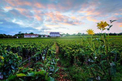 Comblanchien Casa | Gites Chateau Comblanchien