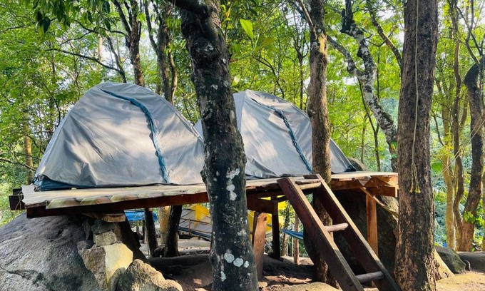 Muttil South Otro | gladstone natural Camping