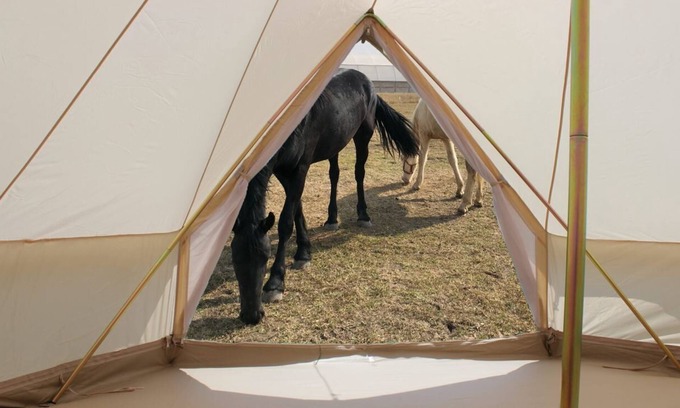Tequisquiapan Alquiler De RV | Glamping 2 + Luz de las Estrellas en el Rancho