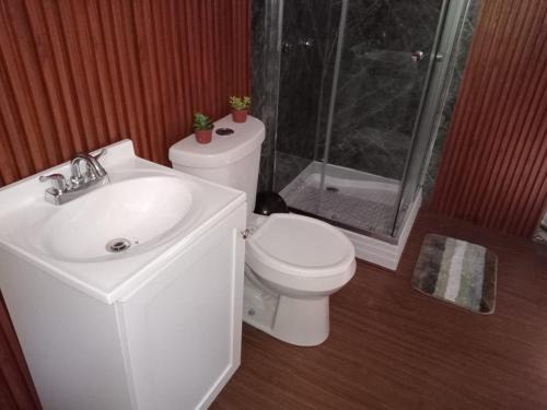 Valle de Bravo Complejo | Glamping Don Delfis