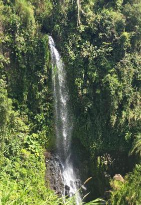 Oriental Otro | Glamping La Mardo