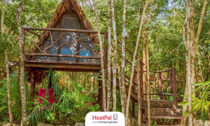 Leona Vicario Cabina | Glamping Luma | Encuentra tu zen en la jungla
