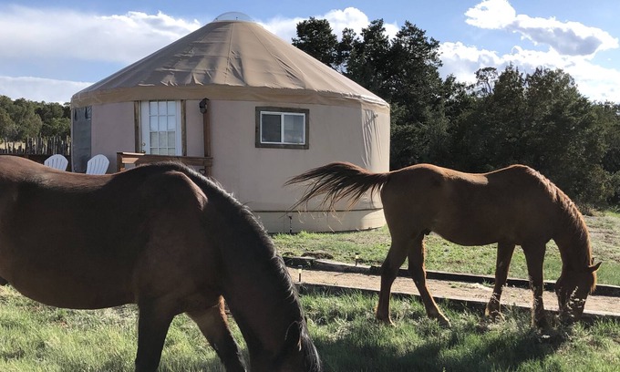 Edgewood Cabina | Glamping! Luxury Yurt enjoy the night sky & walking trail