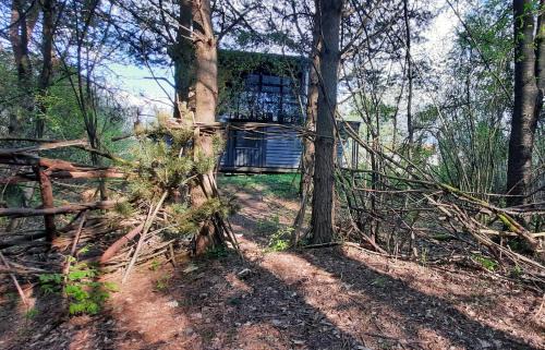 Orfalu Apartamento | Glamping Merida Vendégház