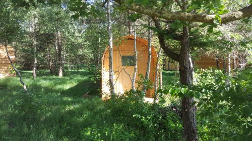 Nordholz Otro | Glamping Pod im Wald mit Hund