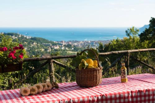 Ogliara Otro | Glamping Ripa Garden Montestella