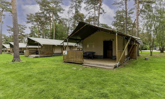 Vessem Casa | Glamping tent on campsite with swimming pool