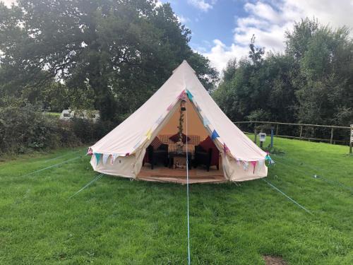 Denstone Otro | Glamping with Alpacas! - Alton Towers