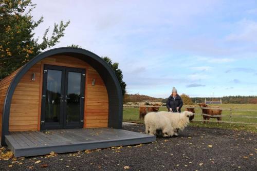 Elgin Casa | Glampods Glamping Pod - meet Highland Cows and Sheep Elgin
