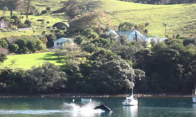 Port Fitzroy Cabina | Glenfern Sanctuary