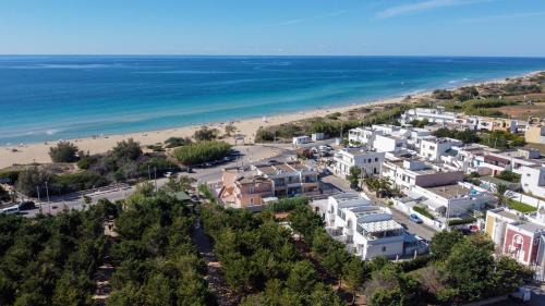Posto Vecchio Casa | Gli Alfieri a Posto Vecchio