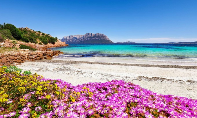 Olbia Apartamento | Glori House 50m From Marina di Olbia