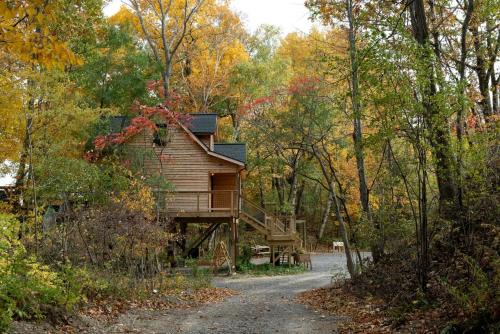Town of Torrey Casa | Glorious Tree House with Fire Pit and Hot-tub in Penn Yan, New York