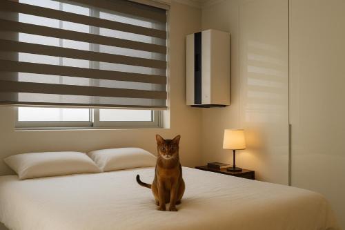 Seongsu Casa | Glow House Seongsu A - Cozy and Brown Cat 외국인전용