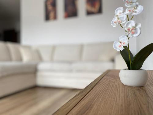Orunia-St. Wojciech-Lipka Apartamento | Go2Nati apartament