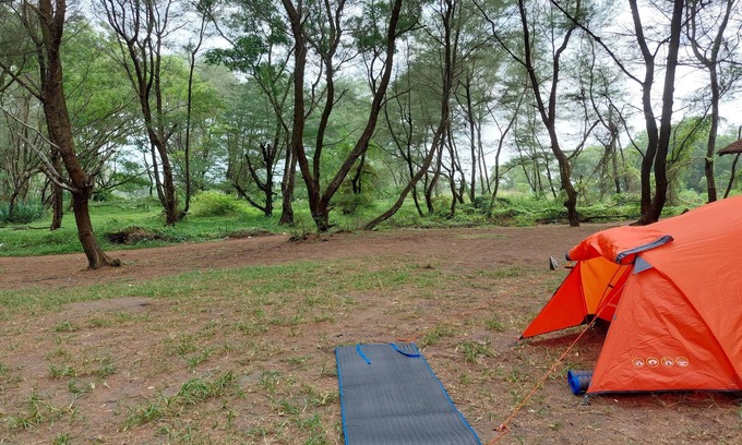 Parangtritis Alquiler De RV | Goa Cemara Camping Ground