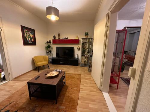 Dornach Apartamento | Goetheanum Casa