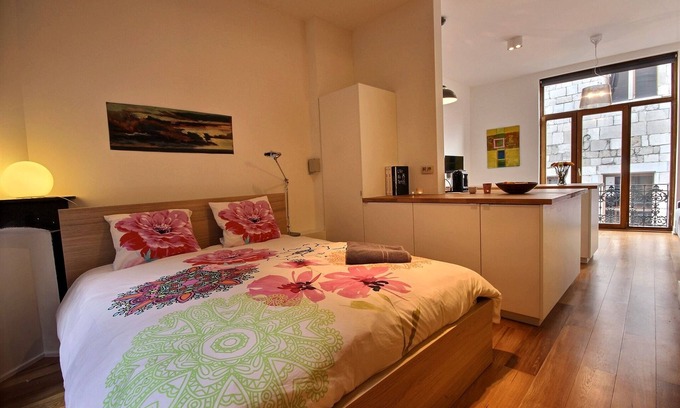 Feronstree et Hors-Chateau Apartamento | Calle Goffe - Estudio