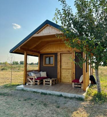 Stari Banovci Cama Y Desayuno | Golden Carp Lake