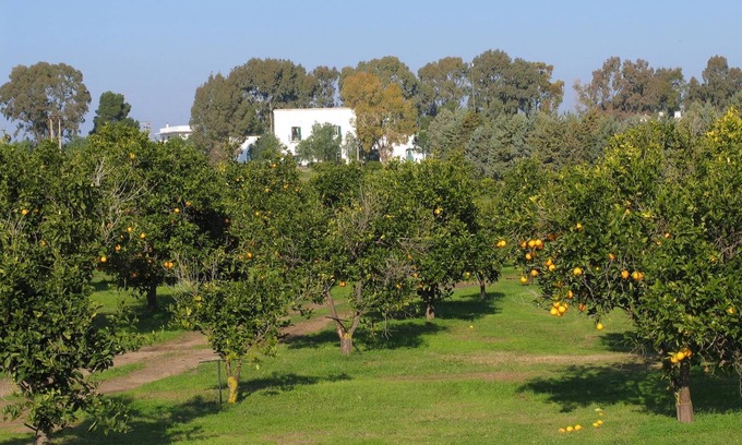 Bernalda Casa | Golf Club Metaponto