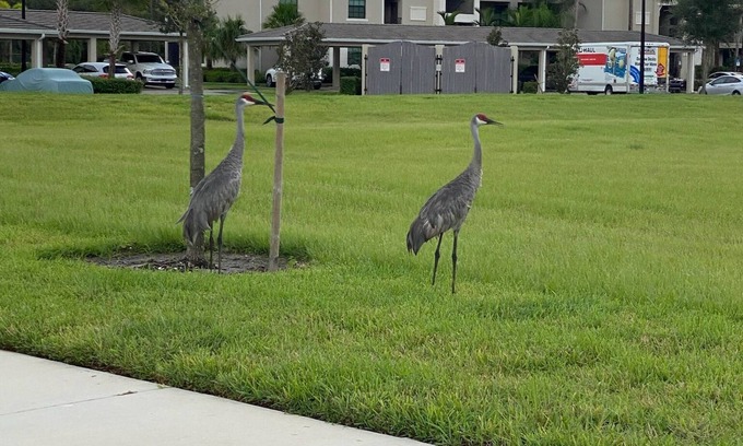 Braden River Condominio | Golfers Dream