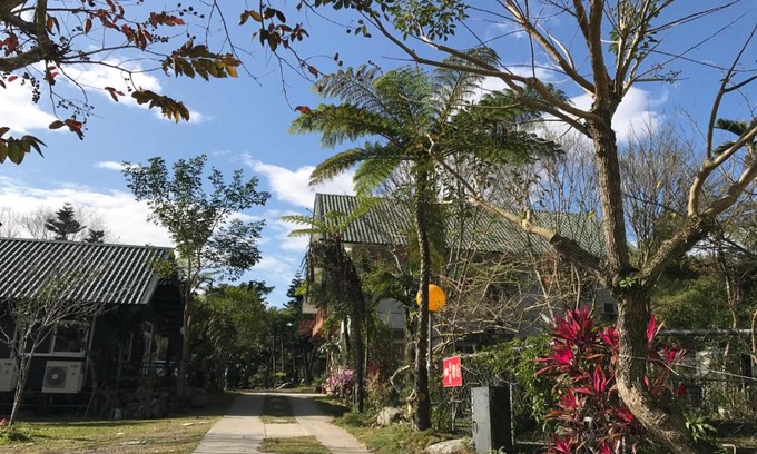 Luye Casa | Goose House
