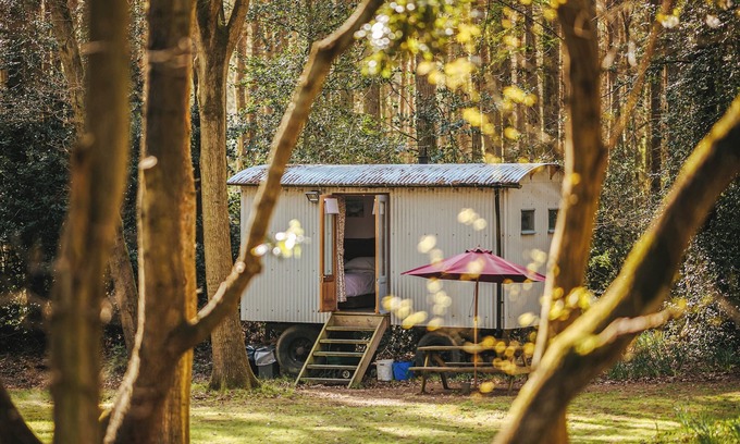 Melton Constable Cabaña | Goosewing Hut-QU7072