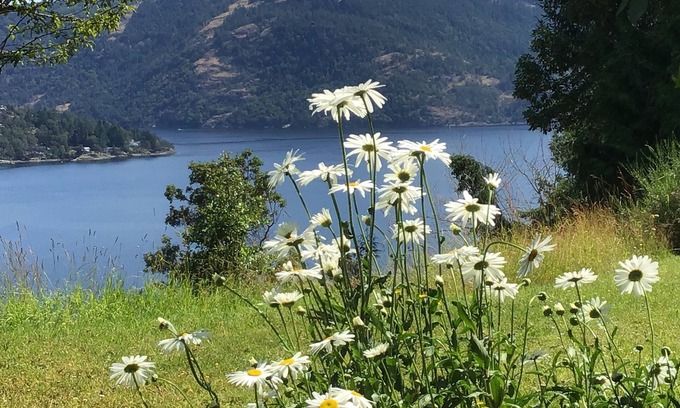 Maple Bay Casa | Gorgeous and private hillside view overlooking Maple Bay