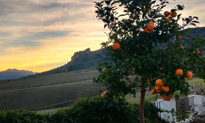 Montecorto Casa | Gorgeous guest suite on a working vineyard with spectacular views