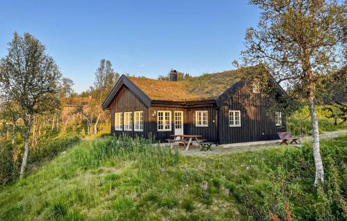 Rauland Casa | Gorgeous Home In Rauland With Sauna