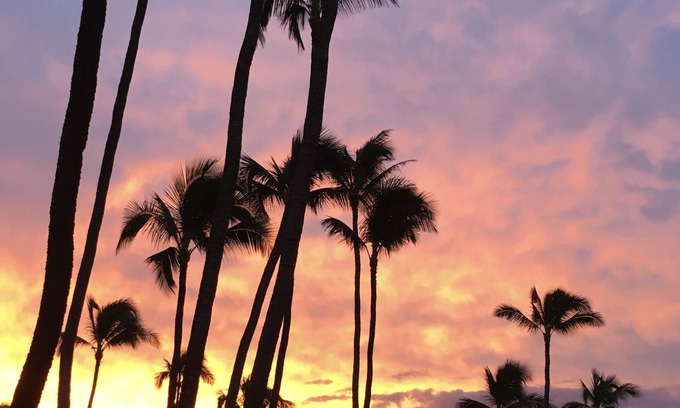 Maalaea Condominio | Hermoso complejo frente al mar en Maui! ¡Kanai A Nalu desde $ 190, con estacionamiento gratis!