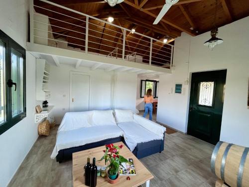 Kymi-Aliveri Casa | Gozzadini Vineyard!
