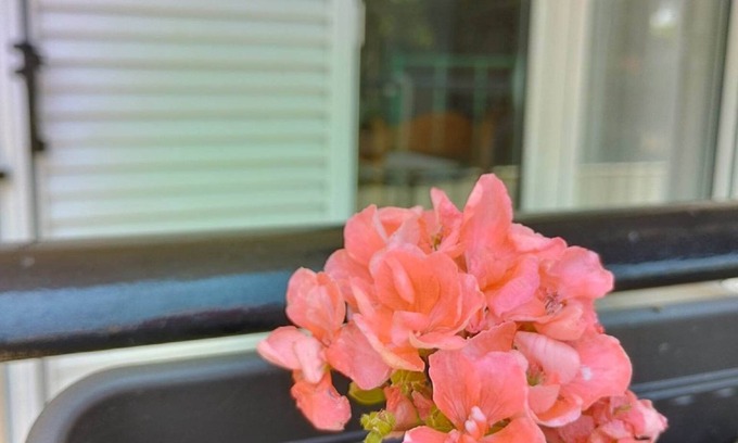 Kalamata Apartamento | Nice and cozy A 2-room apartment 45sq.m. in a peace full area / Pet friendly