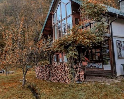 Pluzine Apartamento | Grab cabin