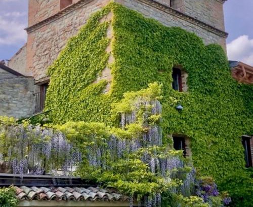 Val di Nizza Casa | Granaja