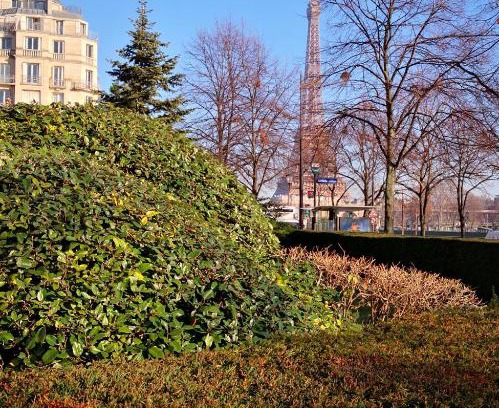 16th Arrondissement Apartamento | Grand Studio près de Tour Eiffel sur quai de Seine