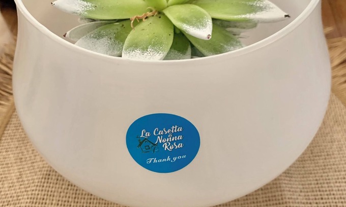 Municipio 4 Casa | Grandma Rosa's Little House
