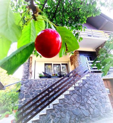 Velika Apartamento | Grandma's apartment