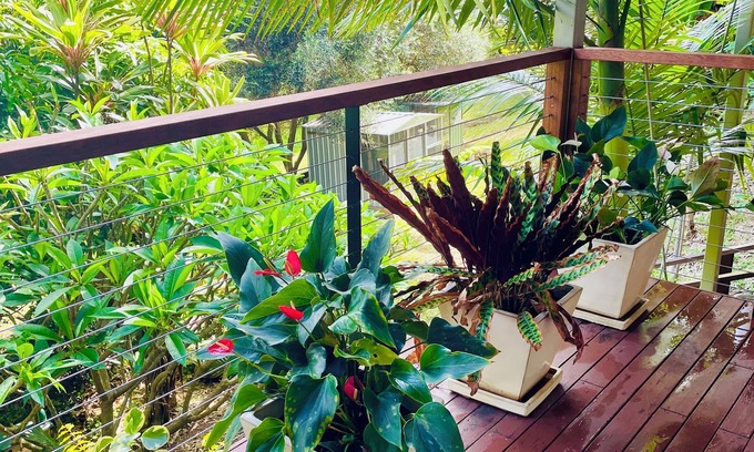 Tallai Apartamento | Grandview Retreat, Hinterland Apartamento independiente