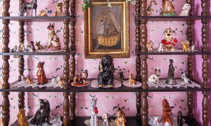St. Louis Casa | Granny's DOG House - KING BED - One of a Kind!