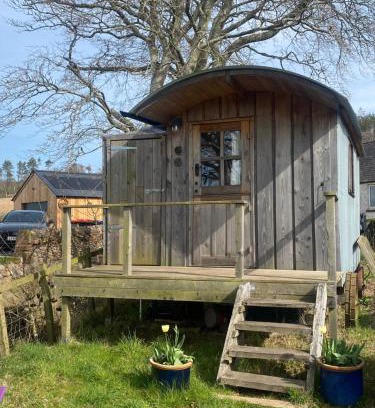 Thornhill Otro | Granny’s Hut