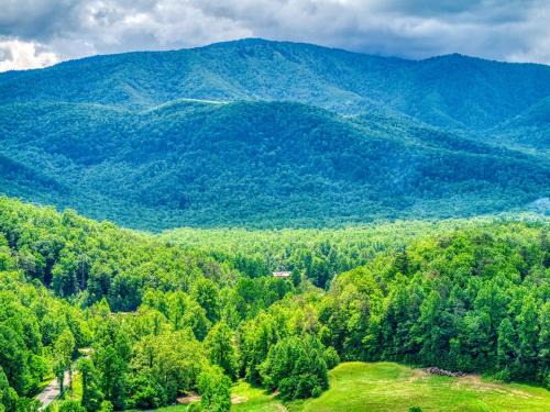 Cosby Casa | Grants Cottage, Pickleball Court, Creek, WIFI, Mountain Views, Starting at 79"