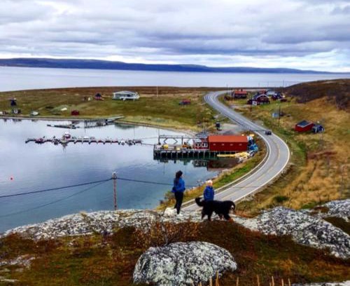 Nesseby Apartamento | Grasbakken Panorama