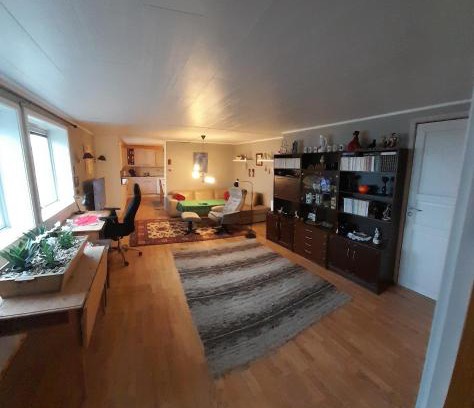 Gravdal Apartamento | Gravdal Basement Apartment