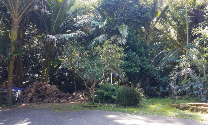 Tryphena Cama Y Desayuno | Great Barrier Island Escape-Book a Room or whole House