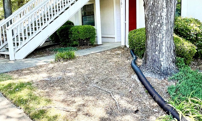 Athens Apartamento | Great Apt. 1 Mile to Downtown Athens & UGA