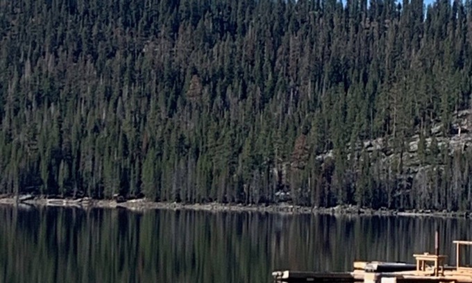 Huntington Lake Cabina | Great cabin walking distance to Huntington Lake