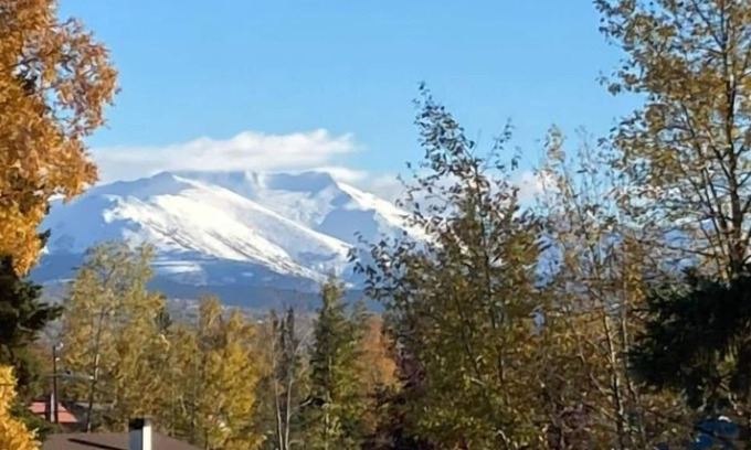 Campbell Park Apartamento | Great North Lodging